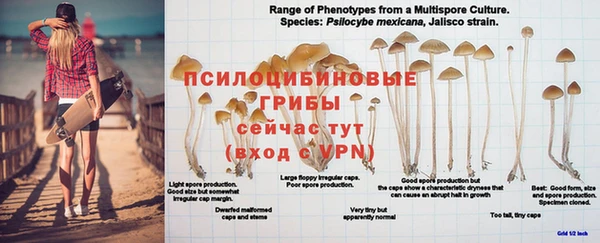 герыч Бронницы